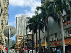 -溪岸路花鸟市场