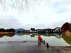 -长广溪湿地公园