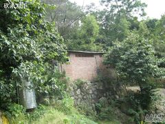 -火炉山森林公园