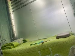 -苗医生0感祛痘连锁
