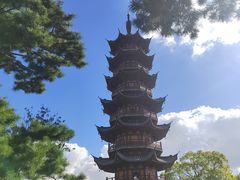 -龙华素斋(龙华路店)