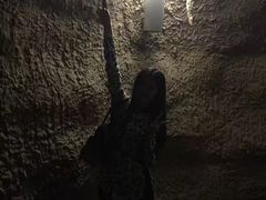 -南山植物园