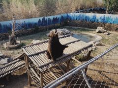 -济南野生动物世界