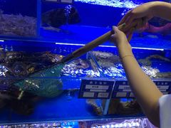 -鹊华居·地道鲁菜·海鲜·融合味(大明湖店)