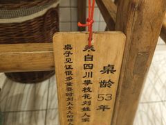 -聂发财重庆江湖菜(解放碑店)