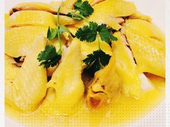 -新世纪大酒楼·30年南海菜