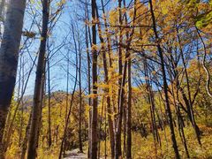 -玉渡山自然风景区