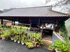 -西双版纳基诺山寨