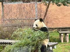 -苏州太湖国家湿地公园