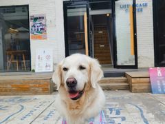 冰拿铁-小意思咖啡店(草桥店)