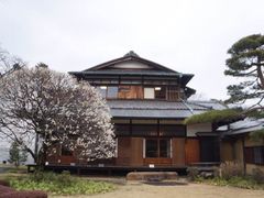 -三鹰之森吉卜力美术馆