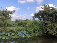 -西溪国家湿地公园