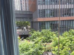 -上海小南国(不夜城店)