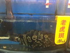 -渔中舟海鲜大排档(普陀沈家门店)