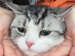 -comecome来吧宠物(奥克斯中心店)