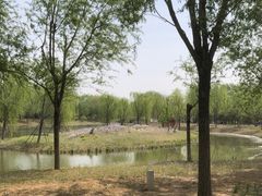 -东郊湿地公园