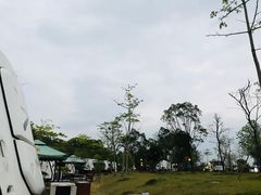 -美的鹭湖森林度假区
