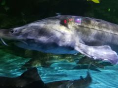 -常州海昌海洋探索馆