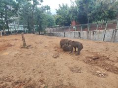 -泉州海丝野生动物世界