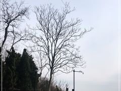 -棒棰岛宾馆景区