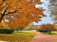 -北京国家会计学院