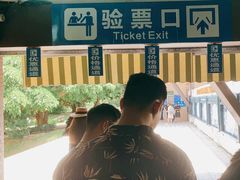 -广东惠东海龟国家级自然保护区