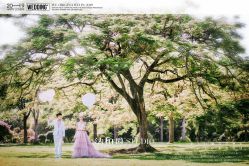 点击看大图 -太古映画婚纱摄影(天河店)