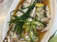 -观桥阁(锦溪店)