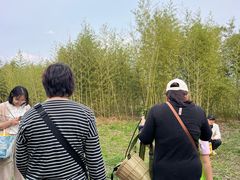 -嘉北郊野公园