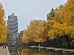 -玲珑塔公园