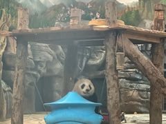 -武汉动物园