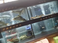-阿五黄河大鲤鱼(英协路店)