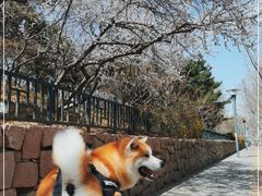 -玲珑塔公园