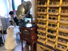 -肆兮眼镜·蔡司·徕卡战略合作店(大坪店)