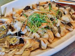 清蒸鲈鱼-鲁商铂尔曼大酒店·铂丽自助餐厅