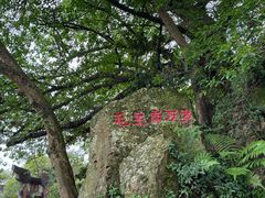 -江心屿景区