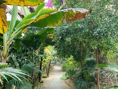 -呀路古热带植物园