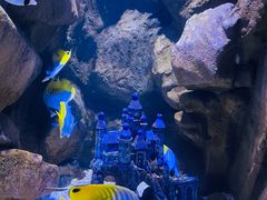 -成都浩海立方海洋公园