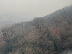-紫金山山顶公园