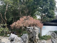 -秋霞圃