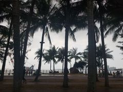 -万绿园