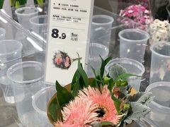 -鹿岛生活(熙地港店)