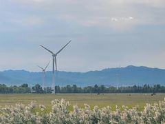 -野鸭湖国家湿地公园