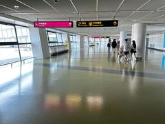 -郑州新郑国际机场-T2航站楼