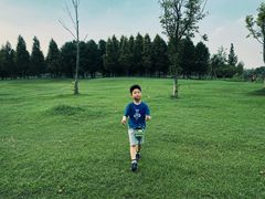 -黄海国家森林公园