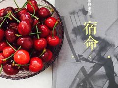-北方图书城(沈阳天地店)