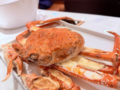 -雍容荟活帝王蟹活龙虾自助(苏宁旗舰店)