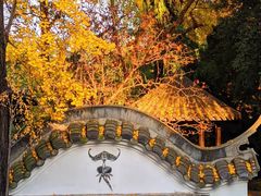 -蜀大侠·侠客印象(园林博物馆店)