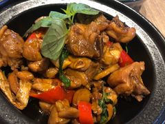 宝島雞-芒果爆爆(东海缤纷店)