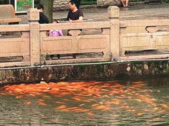 -潮州西湖
